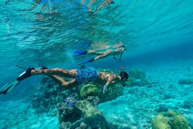 Half-Day Private Luxury Tour from Bora Bora - A private boat turns the lagoon into your timetable