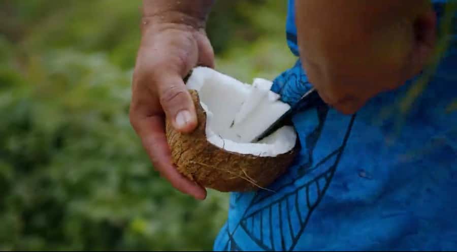 Half day Private tour of Moorea Safari Albert Pick up hotel - Why This Half-Day Moorea 4x4 Tour Fits Real Travel Time