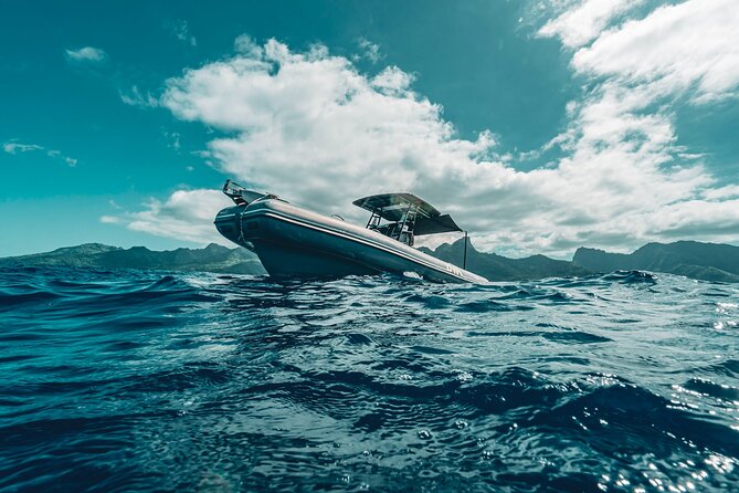 Half Day Private Whale Watching in Moorea - Getting to Moorea Marina and Onto the Water Efficiently