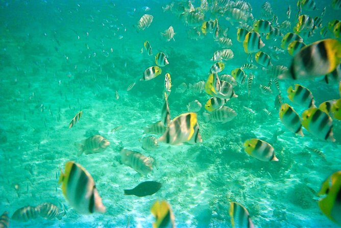 Half-Day Sailing Trip on the Lagoon of Tahiti Comments - Your Route: Tahiti Lagoon, Moorea Views, and Flexible Return Time
