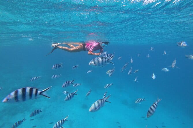 Half-Day Sailing Trip on the Lagoon of Tahiti Comments - What to Bring, So Your Day Stays Easy