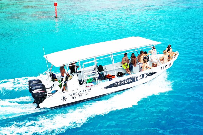 Half Day Snorkeling in Moorea - Key Highlights at a Glance