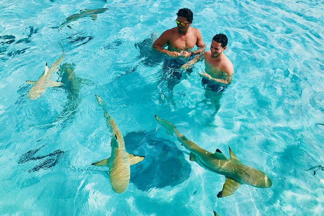 Half Day Snorkeling in Moorea - Why This Half-Day Boat and Snorkel Plan Works in Moorea