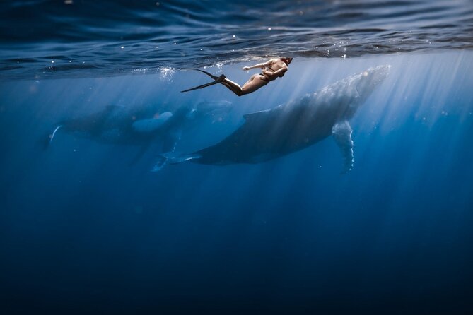 Half Day Snorkeling in Moorea - Price and Value: What $143.42 Gets You