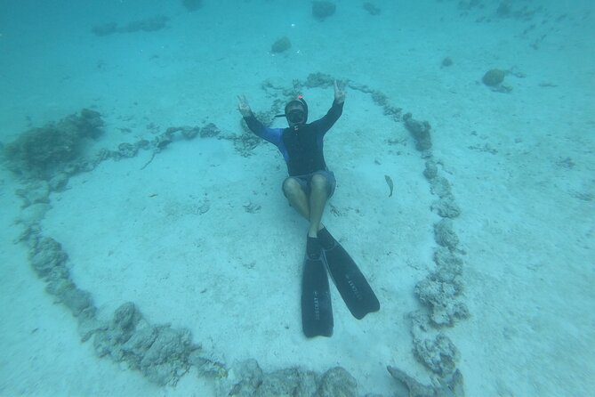 Half-Day Snorkeling Tour in Tahiti - The Turtle-and-Fish Finish: Sapinus Bay at Fishermen’s Point