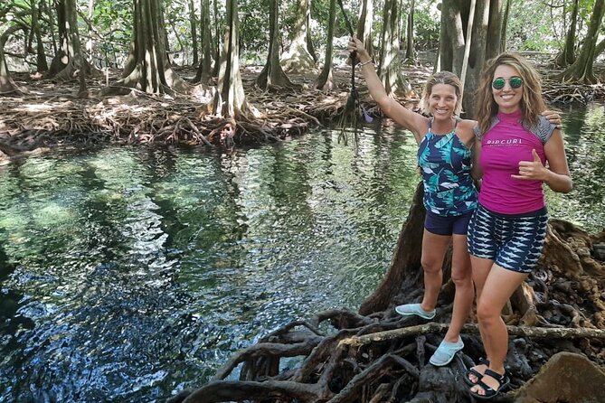 Half day Tahiti Peninsula and Teahupoo boat tour (shared boat) - Grotte Vaipoiri river mouth: mape tree forest walk and plant talk
