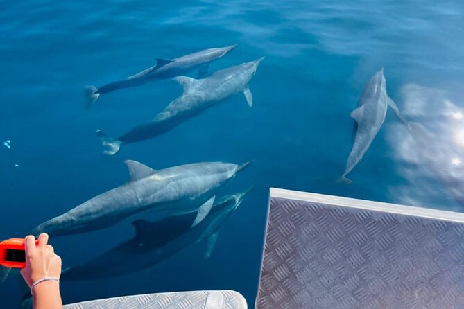 Half day Tahiti Peninsula and Teahupoo boat tour (shared boat) - Snorkeling on the coral garden sand bar: short session, big payoff