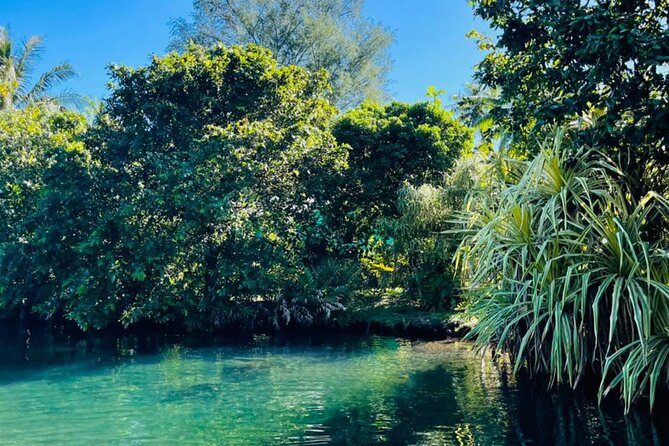 Half day Tahiti Peninsula and Teahupoo boat tour (shared boat) - Practical tips for your comfort on this shared boat day