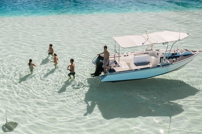 Half Day Tour lagoon discovery marine fauna flora small group - Stop 4: Sea turtles in the lagoon, plus possible leopard rays