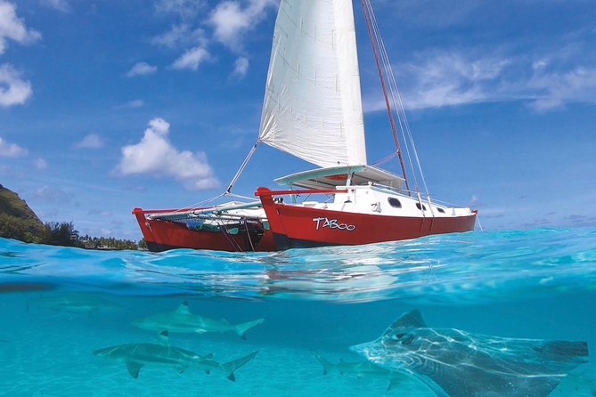 Half Day Tour : Moorea Snorkeling & Sailing on a Catamaran named Taboo - Key things to know before you go