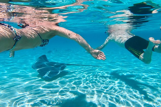 Half Day Tour : Moorea Snorkeling & Sailing on a Catamaran named Taboo - Getting aboard Taboo: small crew energy and real transfer help