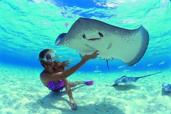 Half Day Tour : Moorea Snorkeling & Sailing on a Catamaran named Taboo - Group size and pacing: why Taboo feels calmer than the crowded boats