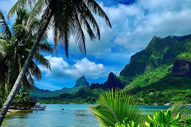 Half-Day Tour of Moorea Island in a Small Group - Key things I’d plan around