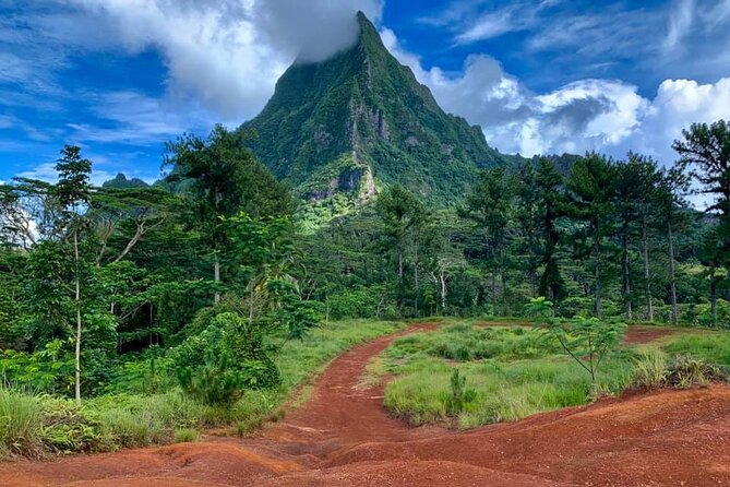 Half-Day Tour of Moorea Island in a Small Group - Belvedere Lookout: Where the Two Bays Explain the Island