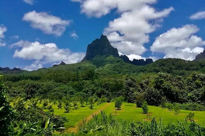 Half-Day Tour of Moorea Island in a Small Group - Moorea Agricultural High School: Pineapple and Tropical Fruit Plantations