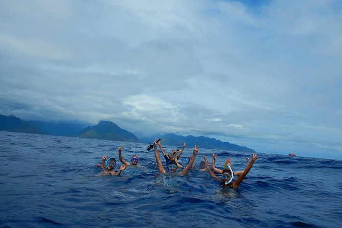 Half day whale tour 4h00 - What you’ll see besides whales: lagoon snorkeling energy