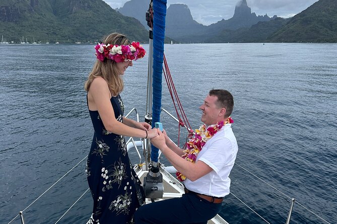 Half day whale watching - Without launch - Moorea at 3 pm: why this timing is so good