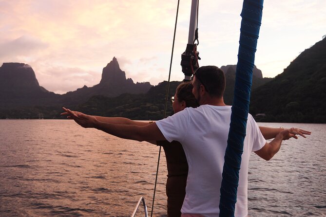 Half day whale watching - Without launch - Hands-on sailing: hoist, steer, tack, and learn knots