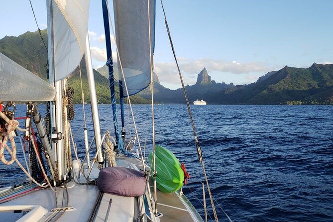 Half day whale watching - Without launch - Who should book this, and who might want a different style