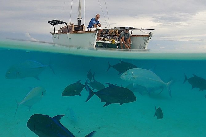 Introduction to sailing and discovering the lagoon - Price and Value: What $126.32 Buys You in Real Terms