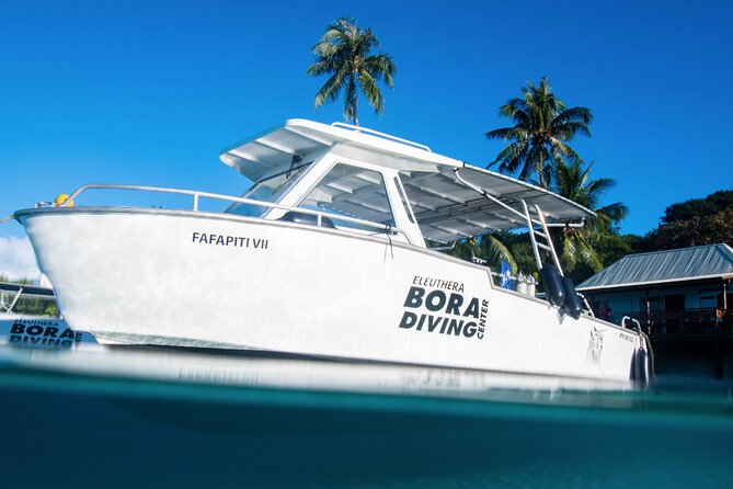 Introductory Dive in Bora Bora (afternoon) - Gear setup and safety coaching that actually makes sense