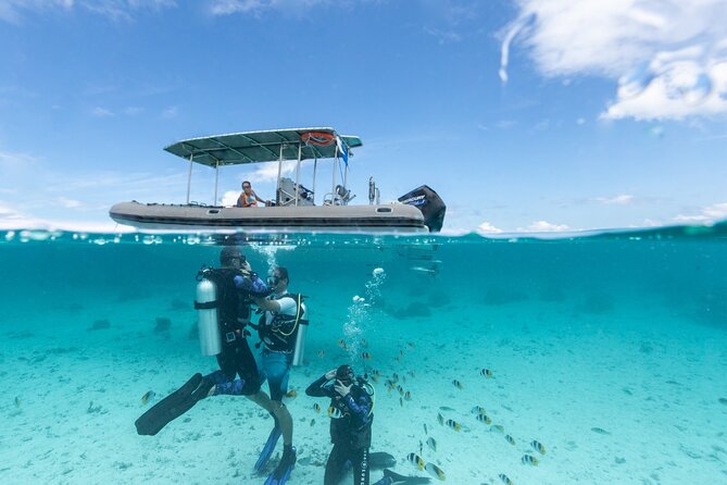 Introductory Scuba Diving Experience in Bora Bora - Key Things to Know Before You Go