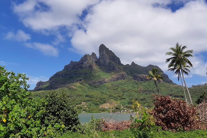 Island Tour & Getaway on the Bora Bora Mountains by Quad / ATV - Riding ATVs in Bora Bora’s mountains, the part you can’t replicate from the beach