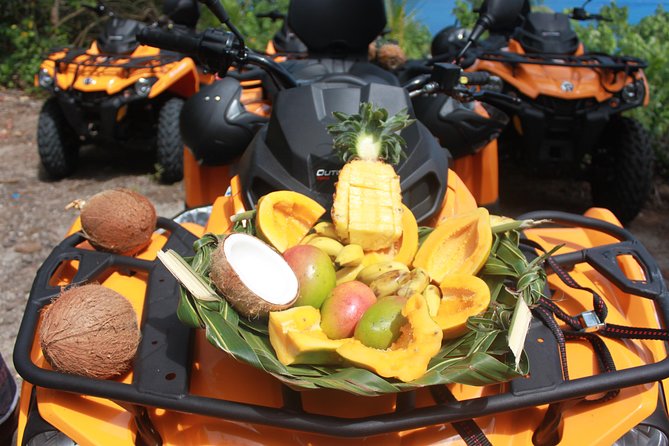 Island Tour & Getaway on the Bora Bora Mountains by Quad / ATV - ATV equipment and safety: what most people report, plus one thing to watch for