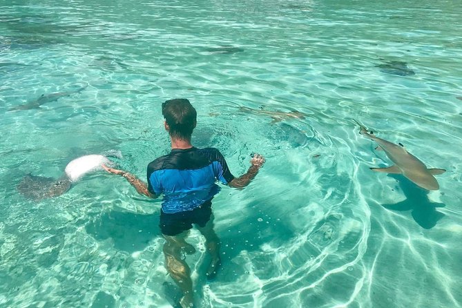 Jet Ski Moorea Customed Tour only - Private Jet Ski Coaching in Moorea, Without the Big-Group Chaos