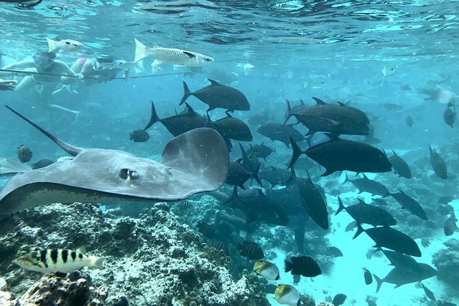 Jet Ski Moorea Customed Tour only - Weather and Tradeoffs: Safe Thrills, Real-World Conditions
