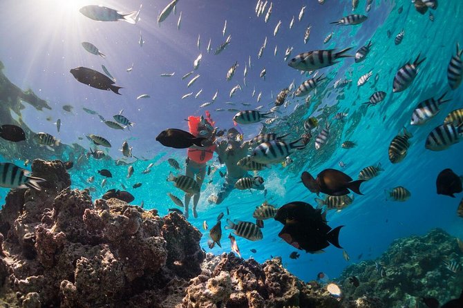 Keishi Tour Half Day Shared Excursion - Key things you will notice right away