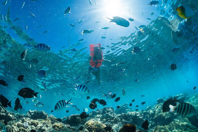 Keishi Tour Half Day Shared Excursion - Coral garden snorkeling: what makes this stop worth your time