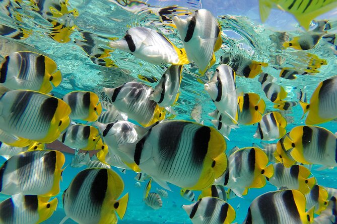 Keishi Tour Half Day Shared Excursion - Meeting at 9:00 am, pickup, and a paper ticket reality check