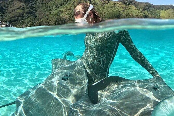 Lagoon and Marine Wildlife Tour in Moorea - Key things you will like on this Moorea lagoon tour