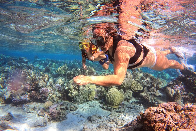 Lagoon and Marine Wildlife Tour in Moorea - Snacks, local refreshments, and why 3 hours is a good sweet spot