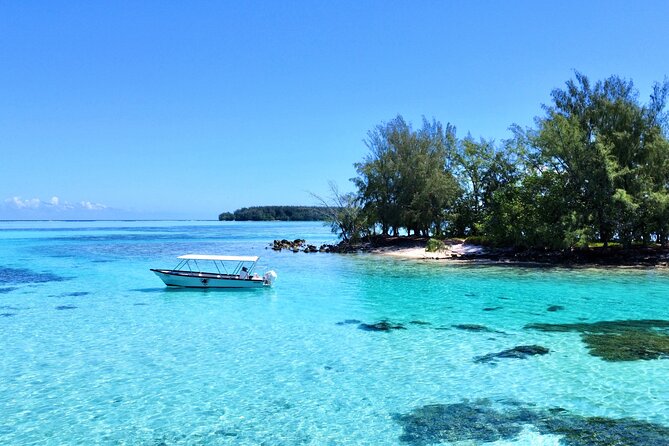 Lagoon and Marine Wildlife Tour in Moorea - Price and value: what you get for about $103.24