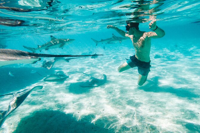 Lagoon and Wildlife Discovery on a Private Boat in Moorea - Private Lagoon Time in Moorea: Why This Feels Different