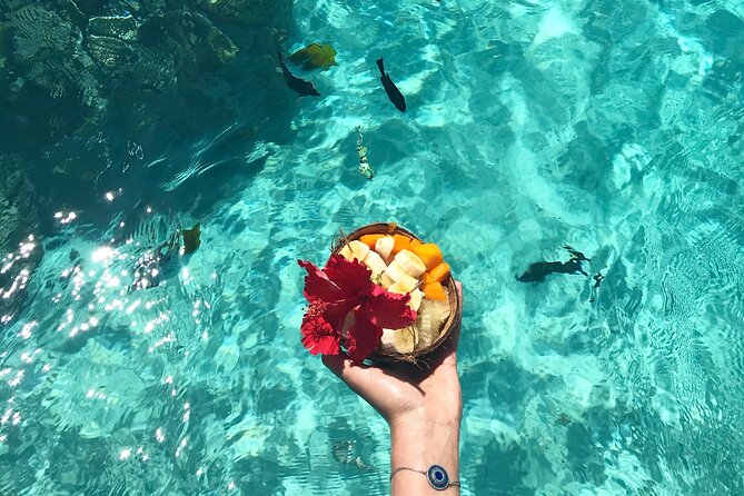 Lagoon and Wildlife Discovery on a Private Boat in Moorea - Coral Garden and Motus: The Best Color Package for Your Time