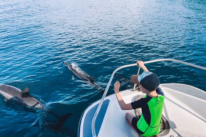 Lagoon and Wildlife Discovery on a Private Boat in Moorea - Turtle and Dolphin Possibilities: How to Think About the Odds