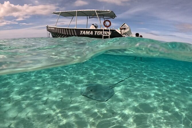 Lagoon Exploration and Snorkeling in Moorea - Stingrays, black tip reef sharks, and sea turtles: the main snorkeling mission
