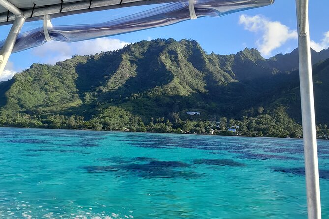 Lagoon Exploration and Snorkeling in Moorea - Price and value for a 4 hour small group snorkel tour