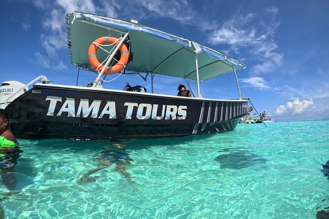 Lagoon Exploration and Snorkeling in Moorea - Who should book this Moorea snorkeling and lagoon exploration?
