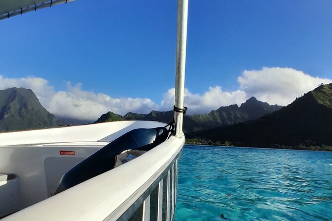 Lagoon Exploration and Snorkeling in Moorea - Should you book Lagoon Exploration and Snorkeling in Moorea?