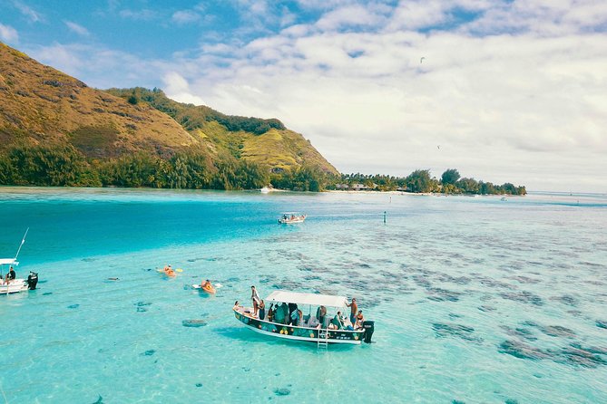 Lagoon Tour - Discover the magnificent lagoon of Moorea - Why a 12-Person Moorea Lagoon Boat Tour Works So Well