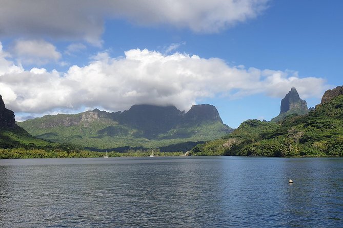 Lagoon Tour - Discover the magnificent lagoon of Moorea - First Stop: Stingrays, Blacktip Reef Sharks, and a Shallow Sandbank