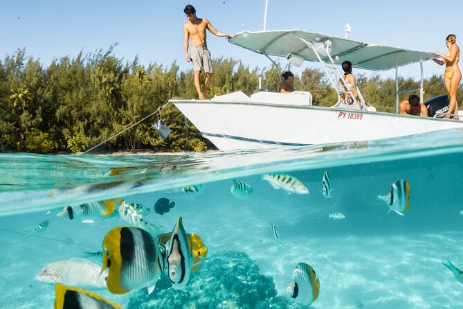 Lagoon Tour in Moorea in Small Group with Lunch - Why the small-group Moorea lagoon format feels different