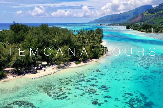 Lagoon Tour + lunch with your feet in the water on a Motu - Swimming with stingrays and sharks, then eating like you’re in an aquarium