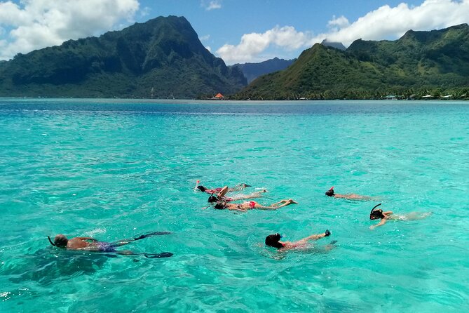 Land and Sea cultural tour to discover traditions, heritage and the lagoon - Price and value: what $173.69 buys you on Moorea