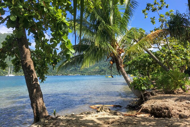 Land and Sea cultural tour to discover traditions, heritage and the lagoon - The biggest practical considerations: gear, swimsuit, and language