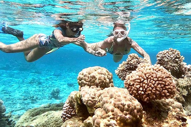 LUXURY PRIVATE Catamaran : Full-Day Sail & Polynesian Motu Lunch - Practical Tips for a 6-Hour Lagoon Day